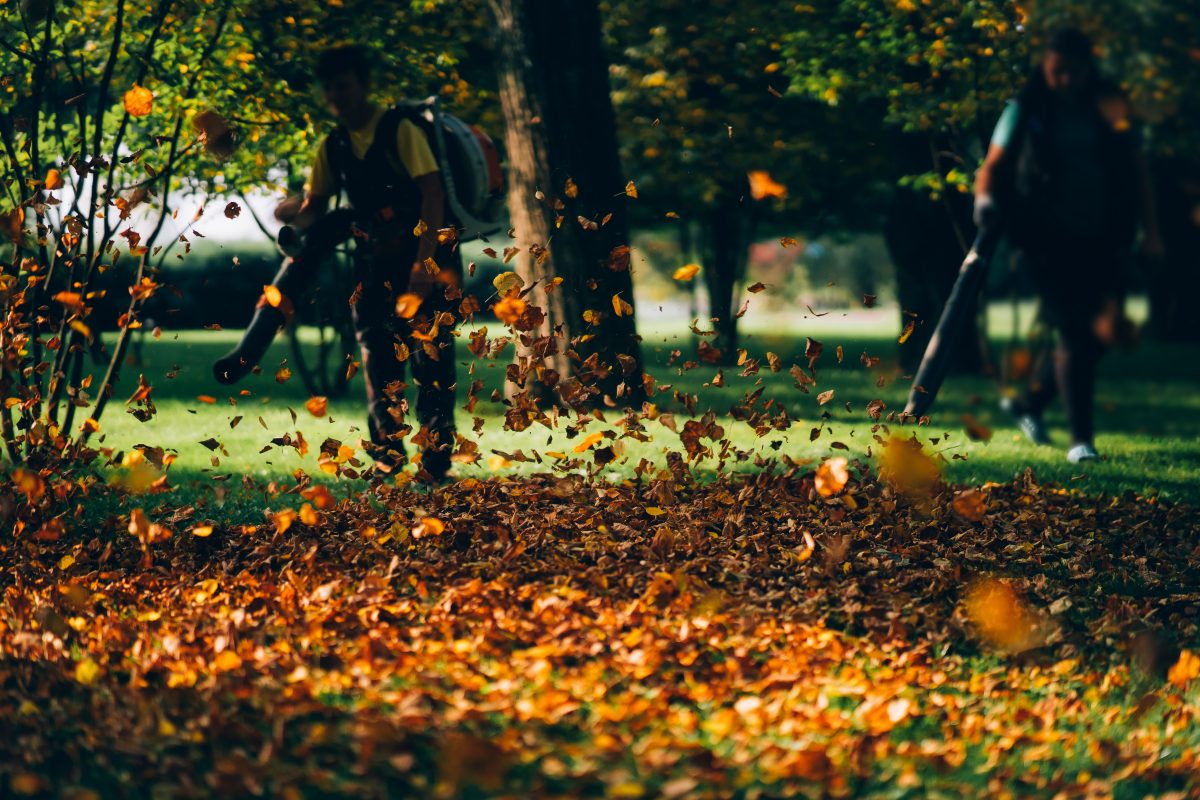 Top Five Rated Leaf Blowers for 2023